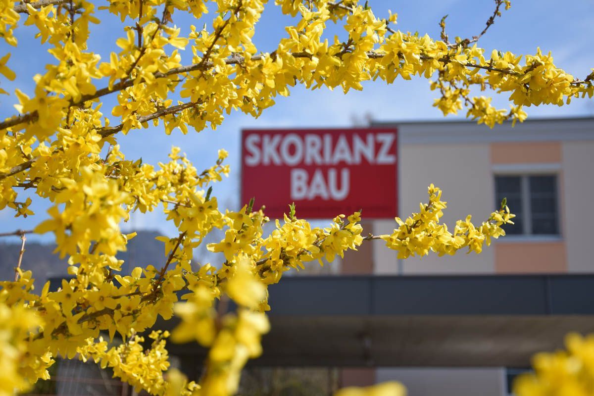 Baumblüten im Vordergrund und im Hintergrund das Unternehmen "Skorianz Bau"